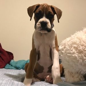 Meet your Posher, Kate